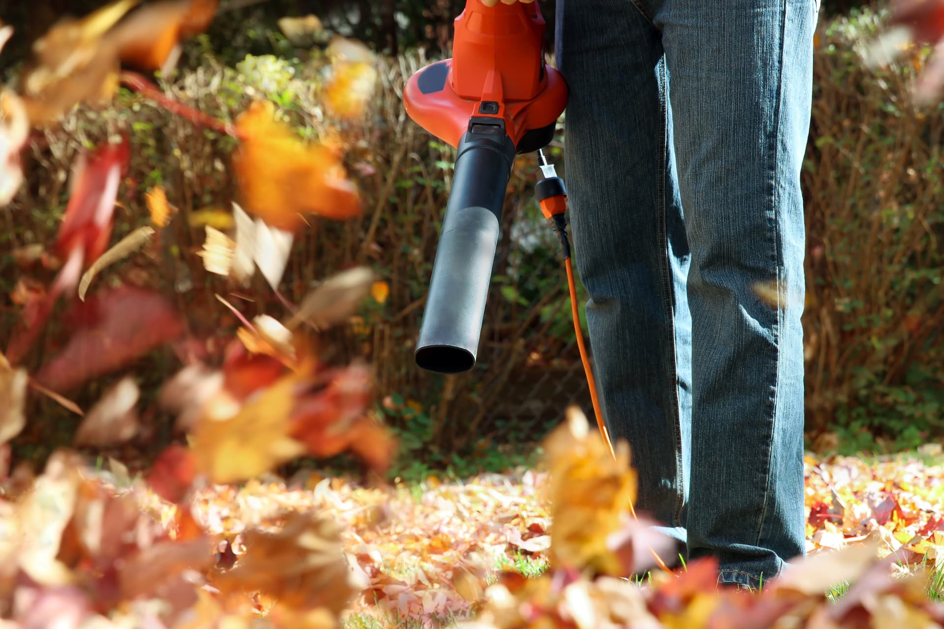 Garden Clean-Ups
