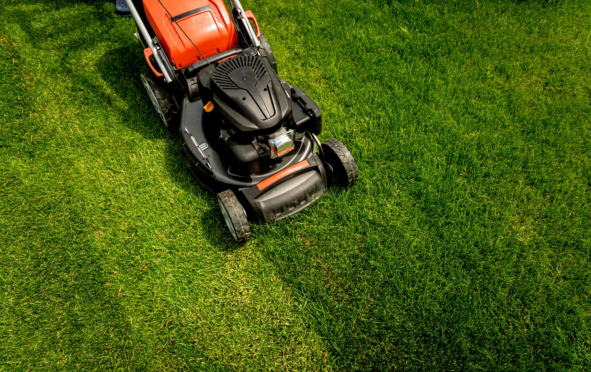 Lawn Mowing